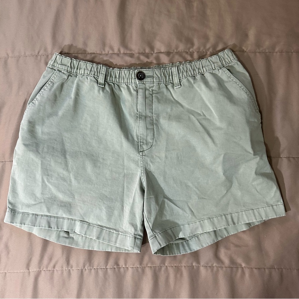 Chubbies shorts mens XL light green beach leisure vacation summer cotton weekend